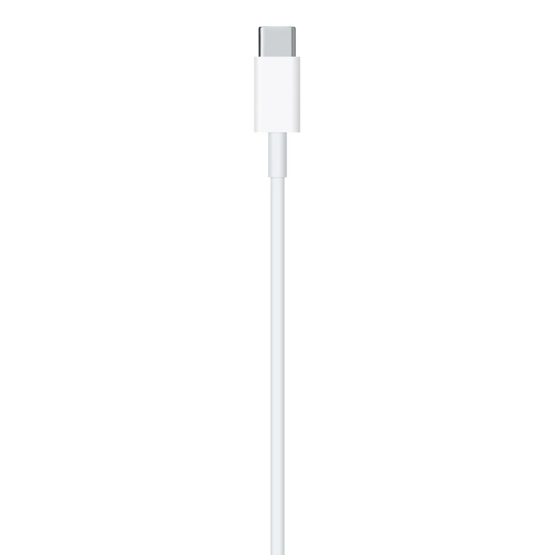 Type-C to Lightning Cable (1m)